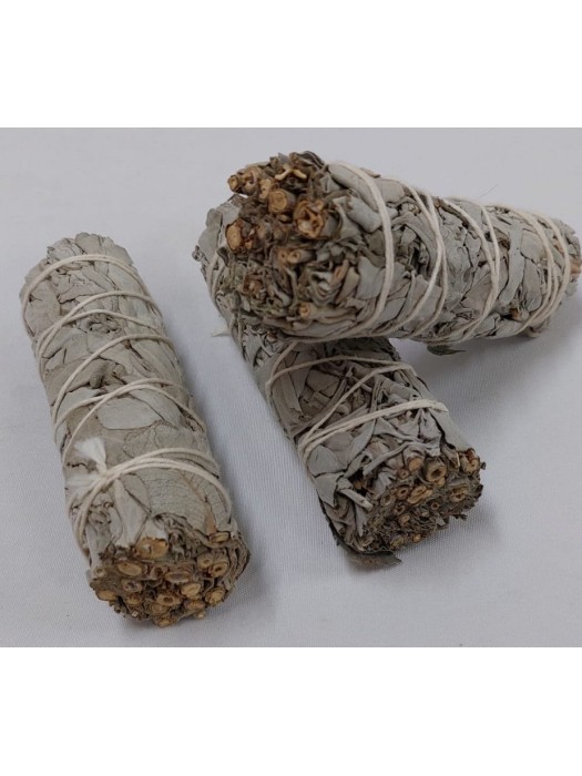 Tocha Salvia Branca 4" 10-11cm